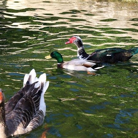 Quinta De Chousas - Braga - Agroturismo 外观 照片