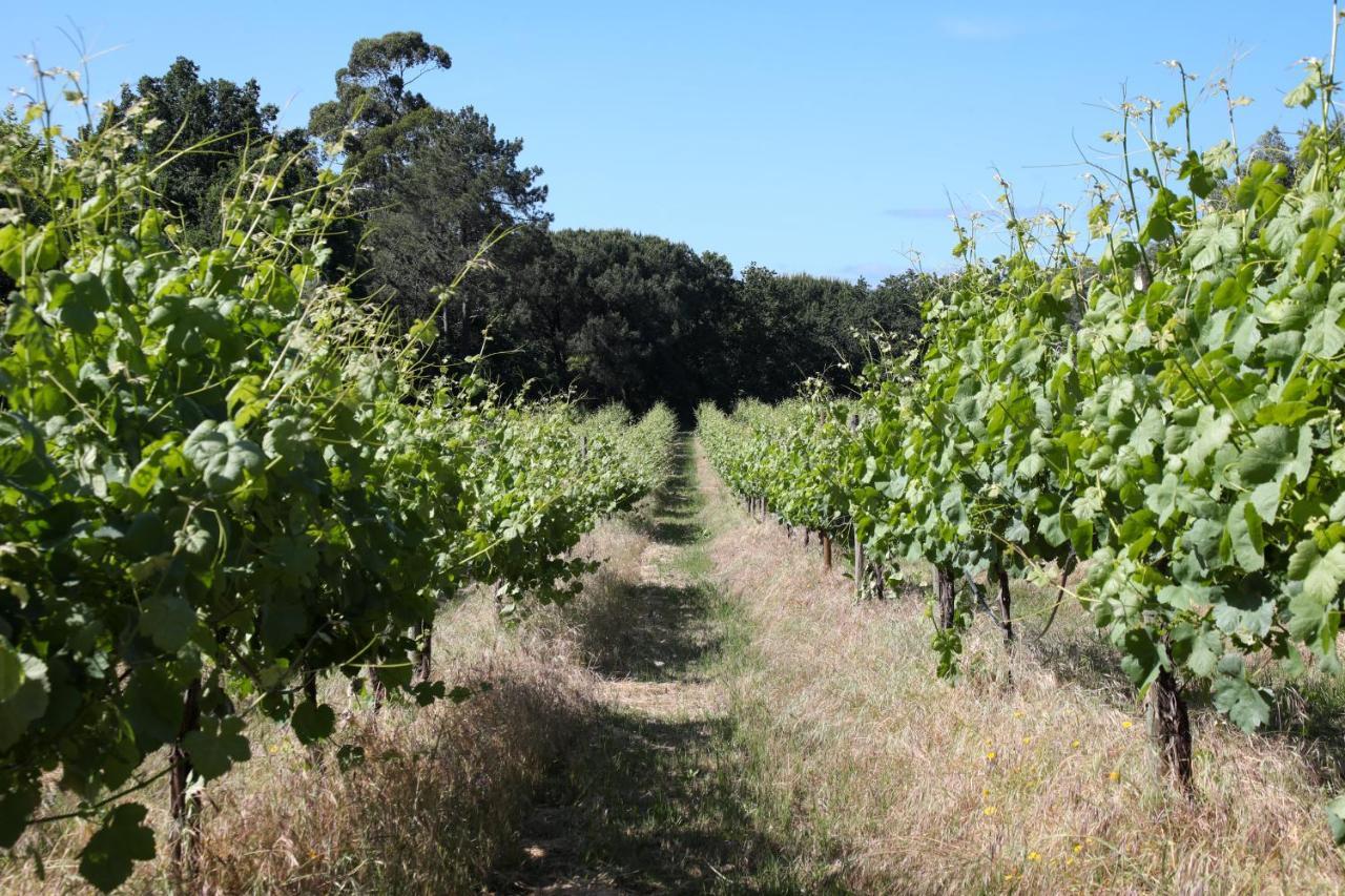 Quinta De Chousas - Braga - Agroturismo 外观 照片