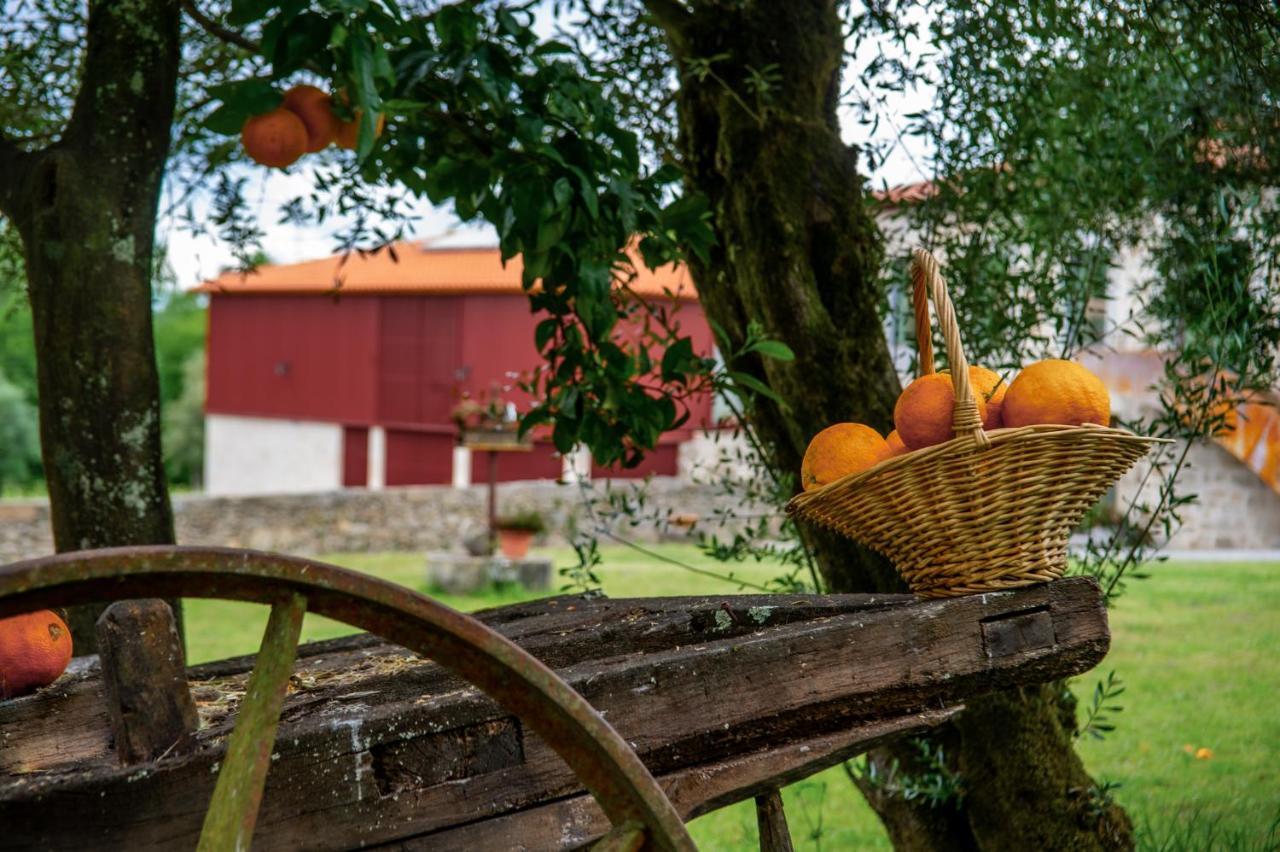 Quinta De Chousas - Braga - Agroturismo 外观 照片