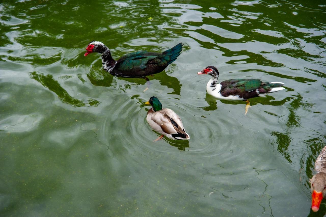 Quinta De Chousas - Braga - Agroturismo 外观 照片