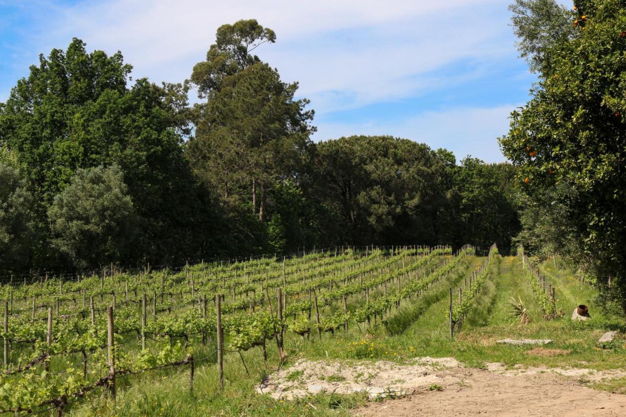 Quinta De Chousas - Braga - Agroturismo 外观 照片
